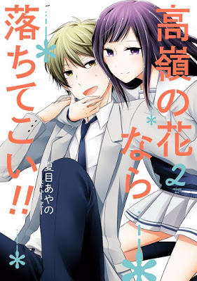 [Manga] 高嶺の花なら落ちてこい！！ 第01-02巻 [Takane no Hana Nara Ochi Tekoi!! Vol 01-02] Raw Download